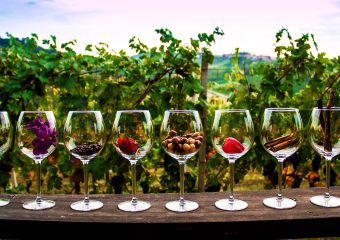 Wine Tours